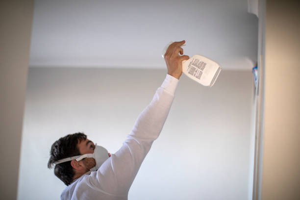 Best HVAC Mold Remediation in Roscoe, TX