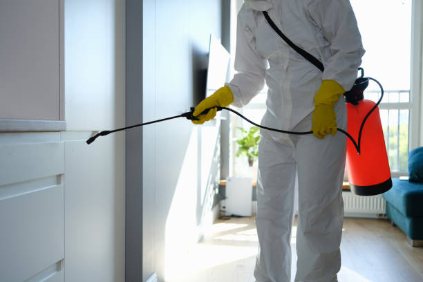 Best Residential Mold Remediation in Roscoe, TX