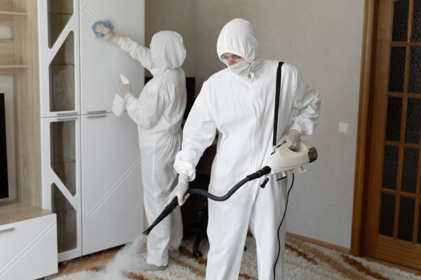 Professional Mold Remediation in Roscoe, TX