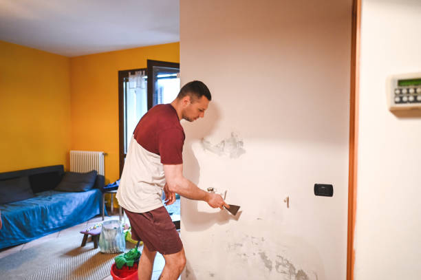 Best Health and Safety Mold Remediation in Roscoe, TX