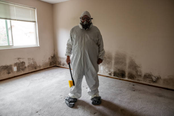 Best Commercial Mold Remediation in Roscoe, TX
