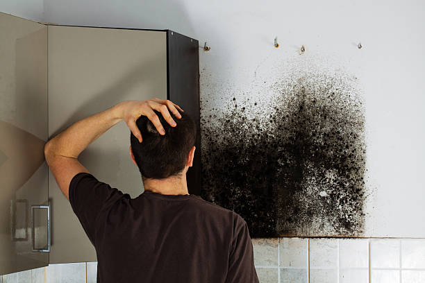 Best Emergency Mold Remediation in Roscoe, TX